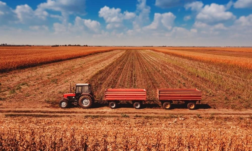 Θα πέσει πείνα: Η επισιτιστική κρίση πλησιάζει στην Τουρκία